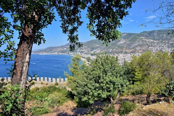 Türkiye Nin Alanya Kentindeki Tepenin Güzel Yaz Manzarası Güneşli Bir — Stok fotoğraf