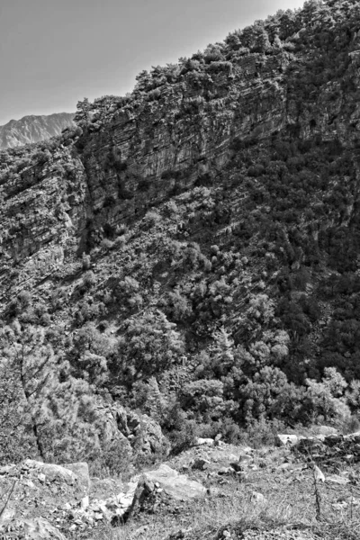 Hermosa Vista Las Montañas Turcas Cubiertas Bosque Verde Día Verano — Foto de Stock