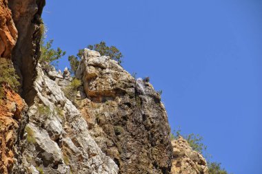 Türk dağlarında ilginç bir şelale ve sapadere kanyonu olan güzel doğal bir manzara.