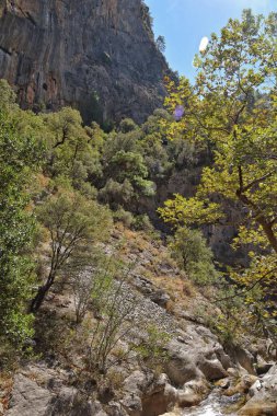 Türk dağlarında ilginç bir şelale ve sapadere kanyonu olan güzel doğal bir manzara.