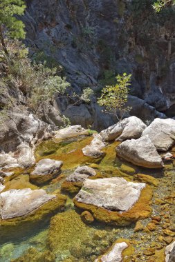 Türk dağlarında ilginç bir şelale ve sapadere kanyonu olan güzel doğal bir manzara.
