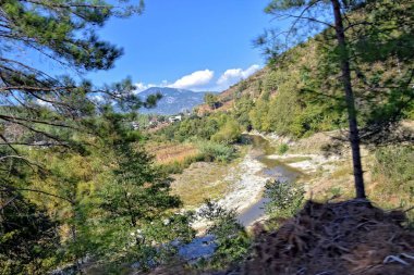 Bir yaz günü yeşil ormanlarla kaplı Türk dağlarının güzel manzarası,