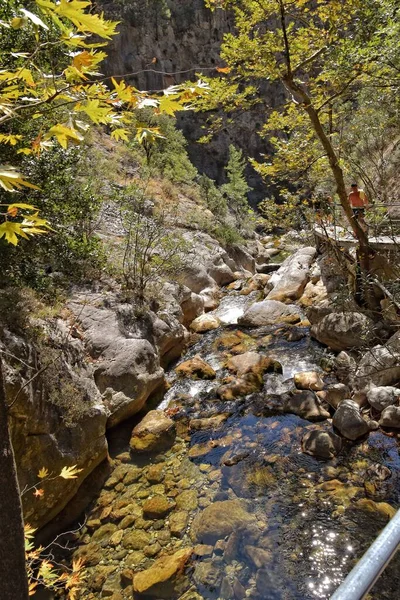 Beautiful Natural Wild Landscape Turkish Mountains Interesting Waterfall Sapadere Canyon — Stock Photo, Image