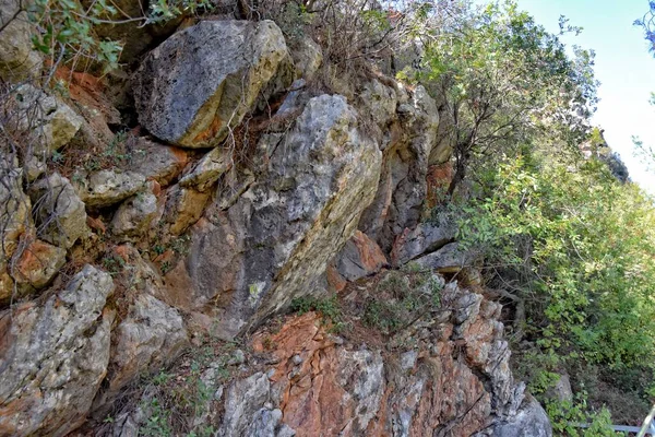 Hermosa Vista Las Montañas Turcas Cubiertas Bosque Verde Día Verano — Foto de Stock