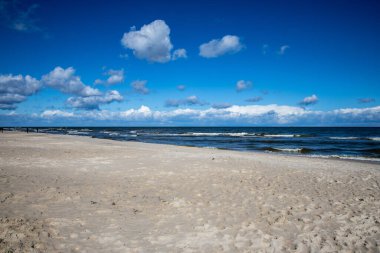 Baltık Denizi 'nin güzel boş plajı. Mavi gökyüzü, yaz manzarası.