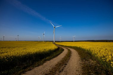 Mavi bulutsuz gökyüzü ve ekolojik rüzgar çiftlikleriyle sarı tecavüz tarlası olan güzel bir manzara.