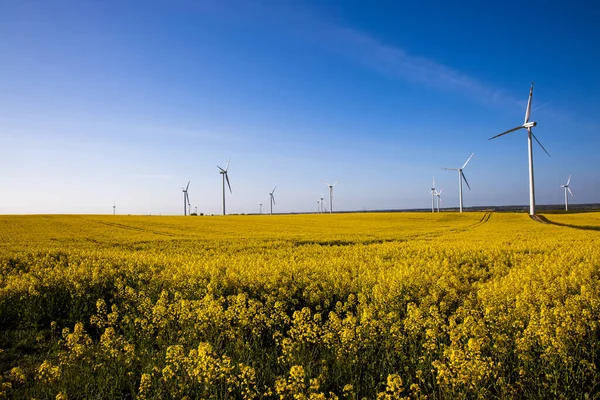 Wunderschöne Landschaft Mit Gelbem Rapsfeld Blauem Wolkenlosem Himmel Und Ökologischen lizenzfreie Stockfotos