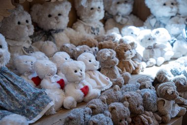 Raflarda sergilenen zarif, yumuşak, pelüş, kaliteli oyuncaklar.