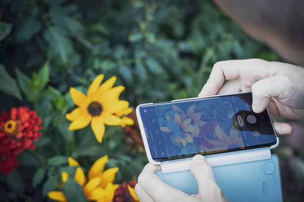 Красиві Жовті Квіти Фотографують Мобільний Телефон Який Тримають Чоловічі Руки — стокове фото