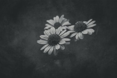 Bahçede yeşil arka planda yetişen güzel sarı çiçekler.