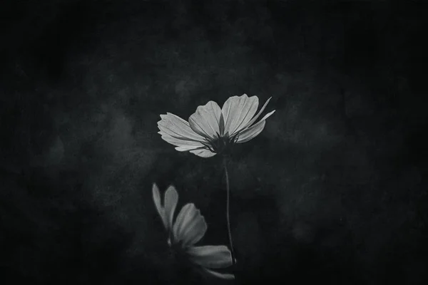 Bahçede yetişen güzel, küçük yaz çiçekleri yeşil arka planda sıcak bir günde