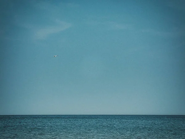 Krásná Letní Dovolená Krajina Modrou Mořskou Vodou Oblohou Létající Racek — Stock fotografie