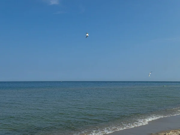 青い海と空と暖かい日に飛ぶカモメと美しい夏の休日の風景 — ストック写真