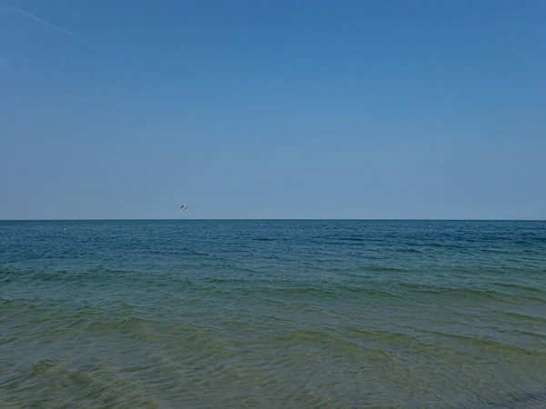 青い海と空と暖かい日に飛ぶカモメと美しい夏の休日の風景 — ストック写真