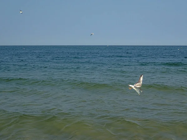 Bela Paisagem Férias Verão Com Água Mar Azul Céu Uma — Fotografia de Stock