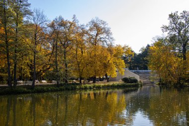 Varşova parkından güzel bir sonbahar manzarası. Polonya 'da kraliyet banyosu