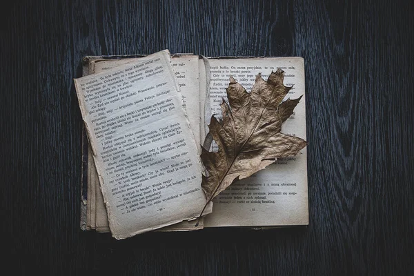 Стара Пошкоджена Книга Лежить Темному Тлі Осіннім Листям — стокове фото