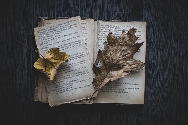 Old Damaged Book Lying Dark Background Autumn Leaf — Stock Photo, Image