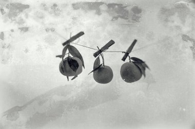 açık arkaplanda siyah ve beyaz renklerde yaprakları olan büyük turuncu bir mandalina.