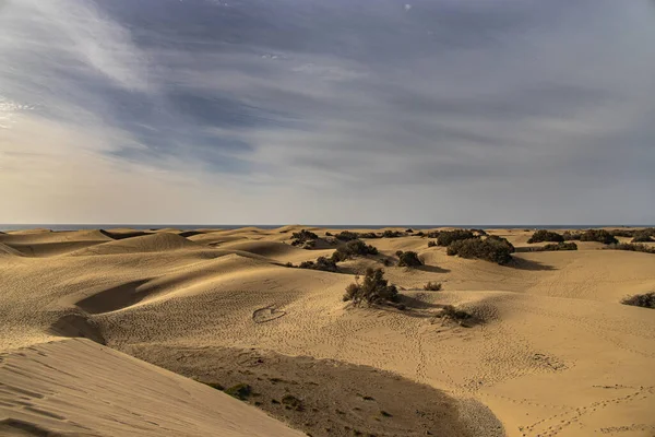 Vackert Sommarökenlandskap Varm Solig Dag Från Maspalomas Sanddyner Den Spanska — Stockfoto