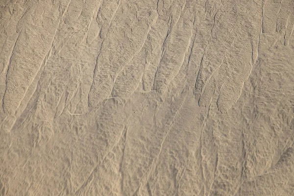 阳光灿烂的日子 沙丘上金色的沙子美丽的原始背景 — 图库照片