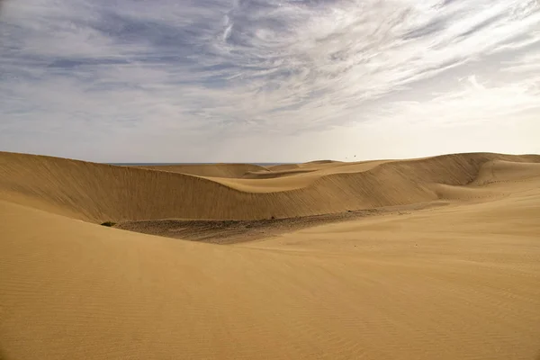 Vackert Sommarökenlandskap Varm Solig Dag Från Maspalomas Sanddyner Den Spanska — Stockfoto