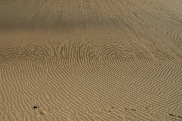 Wunderschöner Ursprünglicher Hintergrund Aus Goldenem Sand Den Dünen Einem Sonnigen — Stockfoto