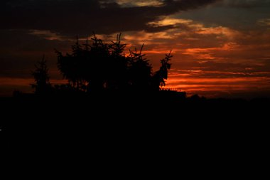 Kızıl gökyüzü, ağaçlar ve bulutlarla güzel renkli bir gün batımı.