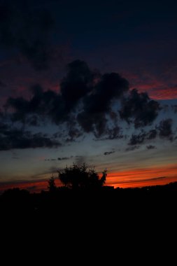 Kızıl gökyüzü, ağaçlar ve bulutlarla güzel renkli bir gün batımı.