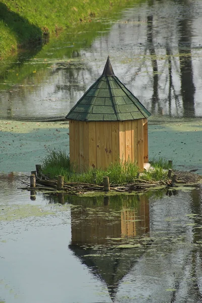 鳥のための水の上の茶色の木の家 — ストック写真