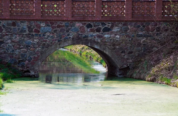 Vecchio Ponte Storico Pietra Legno Sull Acqua Con Copertura Vegetale — Foto Stock