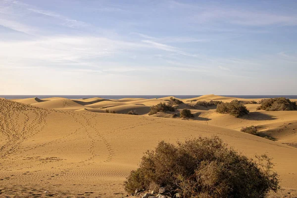 Vackert Sommarökenlandskap Varm Solig Dag Från Maspalomas Sanddyner Den Spanska — Stockfoto