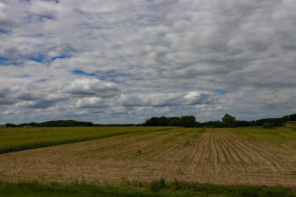 Agrarlandschaft Polen Einem Warmen Sommertag — Stockfoto