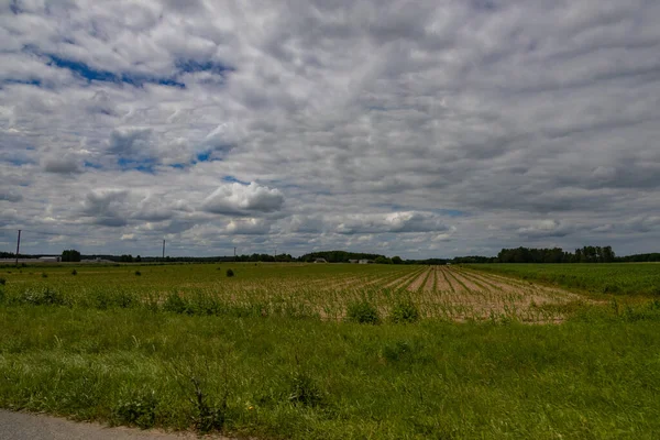 Agrarlandschaft Polen Einem Warmen Sommertag — Stockfoto