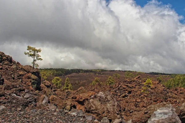 Gyönyörű Nyugodt Hegyi Táj Körül Teide Spanyol Kanári Sziget Tenerife — Stock Fotó