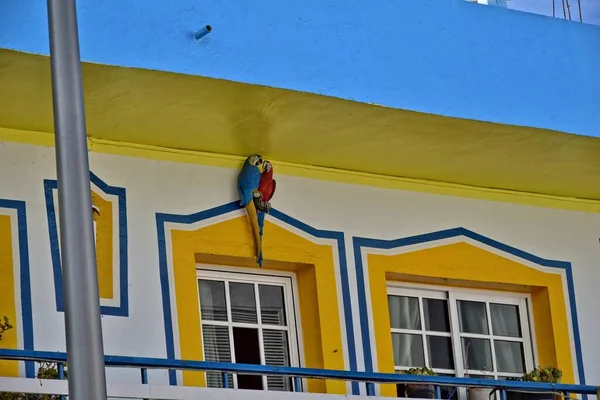 Hermosa Ciudad Corralejo Isla Española Canarias Fuerteventura Cálido Día Vacaciones — Foto de Stock