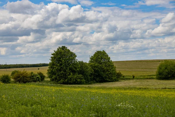 Agrarlandschaft Polen Einem Warmen Sommertag — Stockfoto