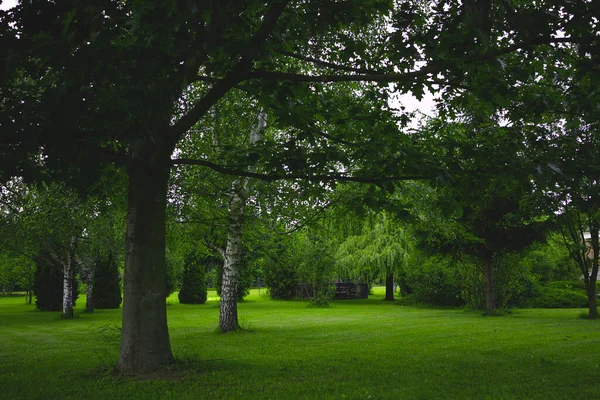 Zielony Letni Krajobraz Parku Ciepły Pochmurny Dzień — Zdjęcie stockowe