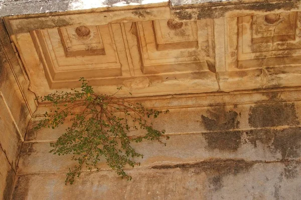 暑い夏の日にトルコのディディムにあるアポロンの古代寺院の美しい古い遺跡 — ストック写真