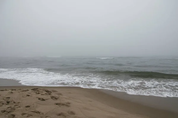 在微风中 波兰波罗的海美丽的海滩景观 — 图库照片