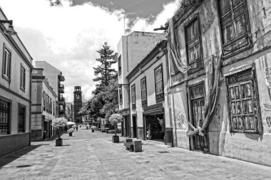 İspanya 'nın eski başkenti Tenerife Kanarya Adası' nda tarihi binaları olan güzel sokaklar.