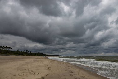 Polonya 'da Baltık Denizi' nde güzel, geniş bir sahil Yazın bulutlu, gri, soğuk bir günde
