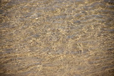 Sahildeki altın kumun özgün arkaplanı.