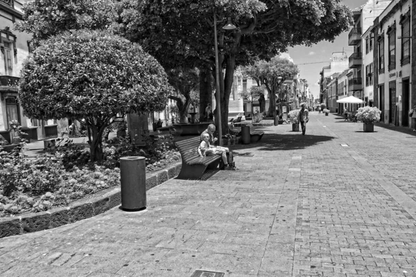 Ruas Bonitas Com Edifícios Históricos Ilha Canária Espanhola Tenerife Antiga — Fotografia de Stock