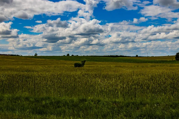 Agrarlandschaft Polen Einem Warmen Sommertag — Stockfoto