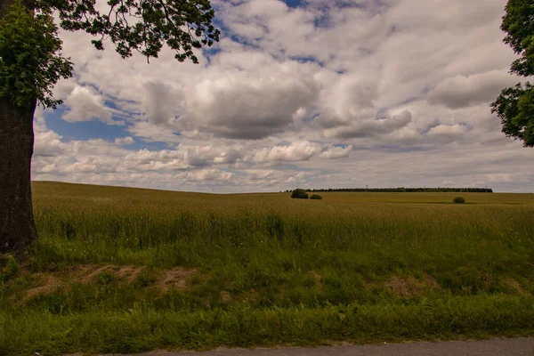 Agrarlandschaft Polen Einem Warmen Sommertag — Stockfoto