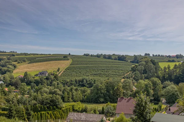 Schöne Sommerlandschaft Mit Polnischen Bergen Einem Bewölkten Tag — Stockfoto