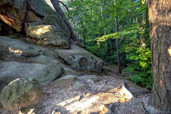 Grande Pierre Diable Dans Une Forêt Dans Les Montagnes Pogorzyce — Photo