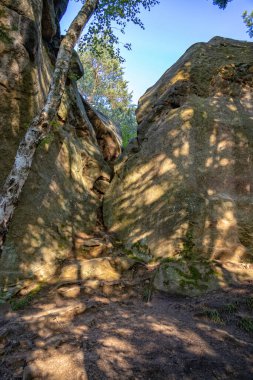 Polonya 'nın Pogorzyce dağlarındaki bir ormanda büyük bir şeytan taşı. Bir yaz günü.