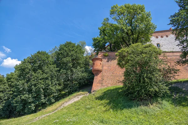 Krásný Výhled Staré Město Krakov Polsku Letní Den Hradu Wawel — Stock fotografie